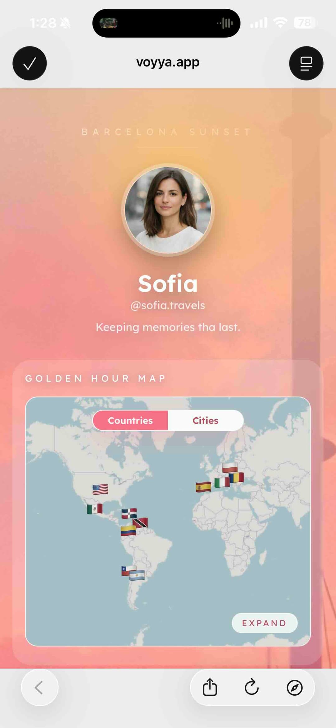 Voyya profile details view